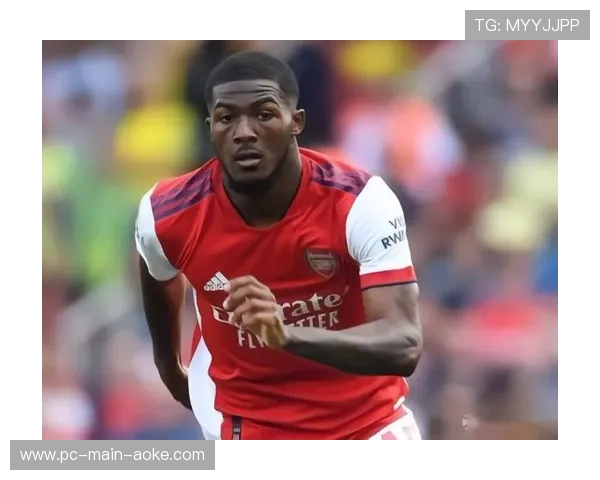 沙特资本入主欧洲足坛的隐忧:财务公平法案在德甲的失效? 沙特资本入主欧洲足坛的隐忧:财务公平法案在德甲的失效?